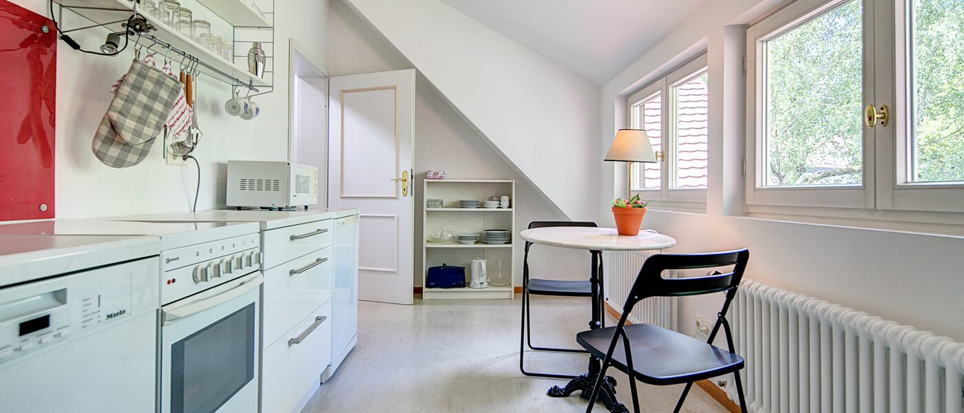 attic apartment München Solln 03 kitchen 8785