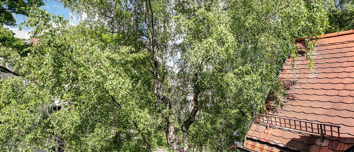 attic apartment München Solln 03 view 8785