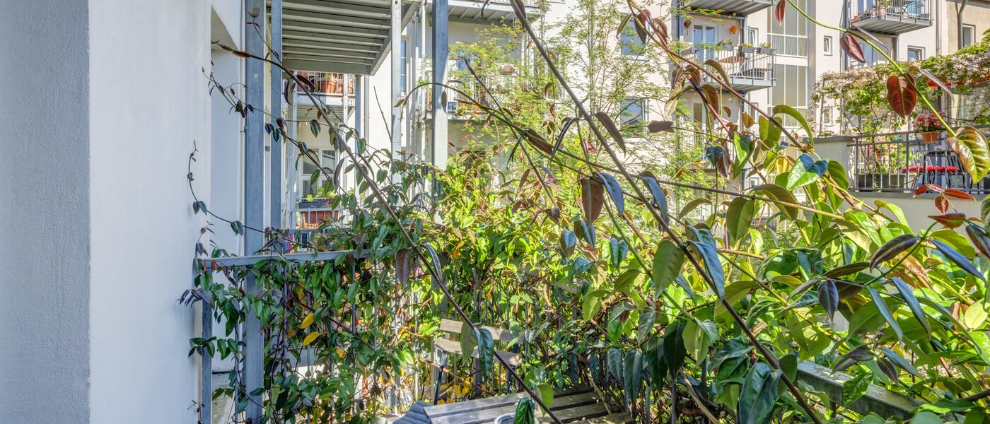 apartment München Maxvorstadt - Universitätsviertel 02 balcony 8789