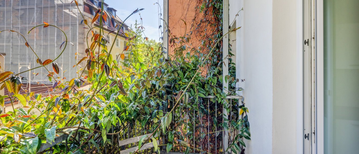 apartment München Maxvorstadt - Universitätsviertel 03 balcony 8789