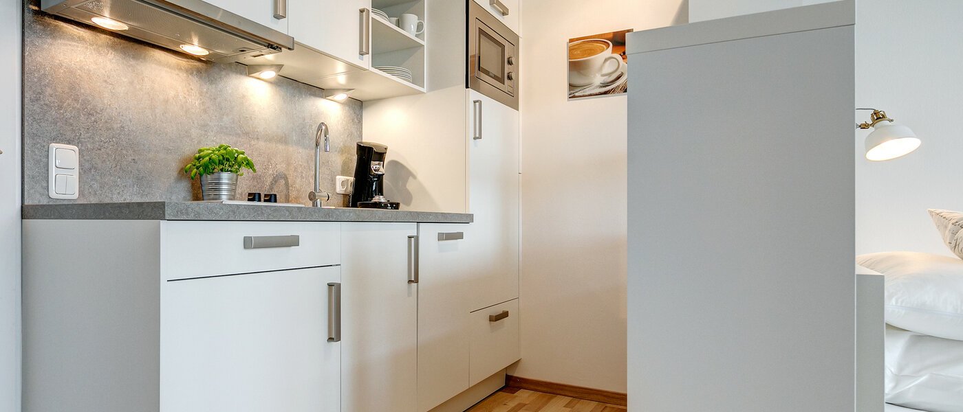 studio München Haidhausen 02 kitchen 8801