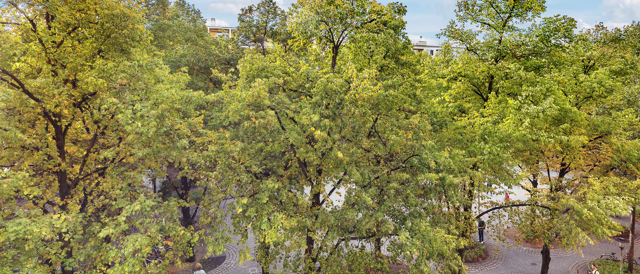 apartment München Schwabing-West (rund um den Hohenzollernplatz) 01 view 8850