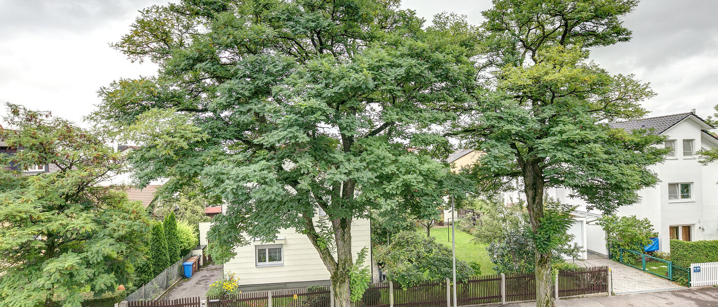 house München Freimann 02 view 8852