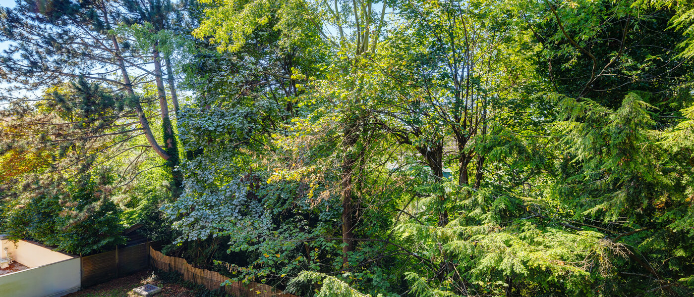 apartment München Sendling-Westpark 01 view 8875