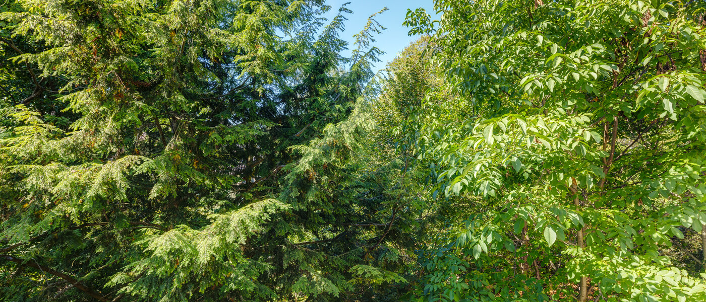 apartment München Sendling-Westpark 02 view 8875