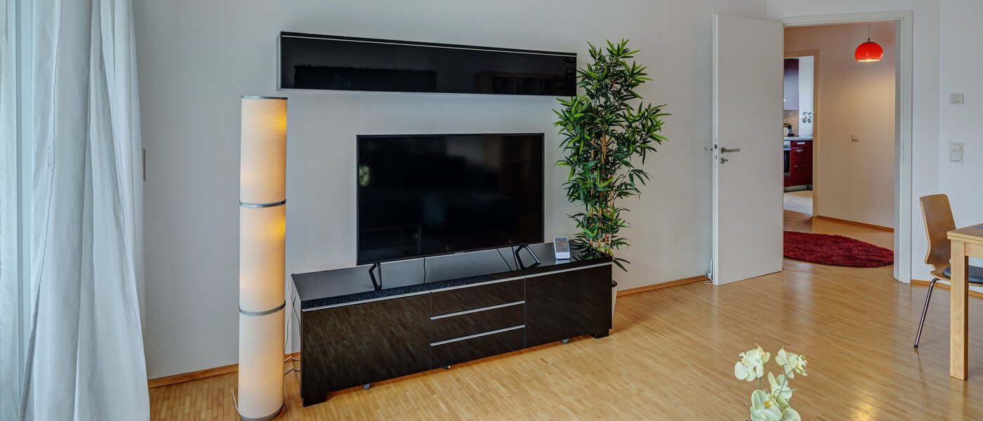 apartment München Obergiesing 02 living room 8891