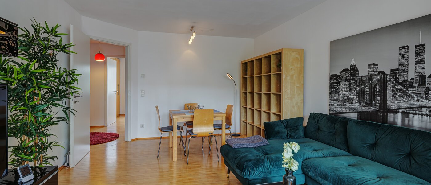 apartment München Obergiesing 03 living room 8891