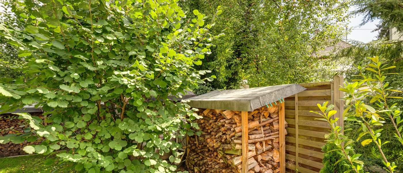 studio Gräfelfing 04 garden 8902