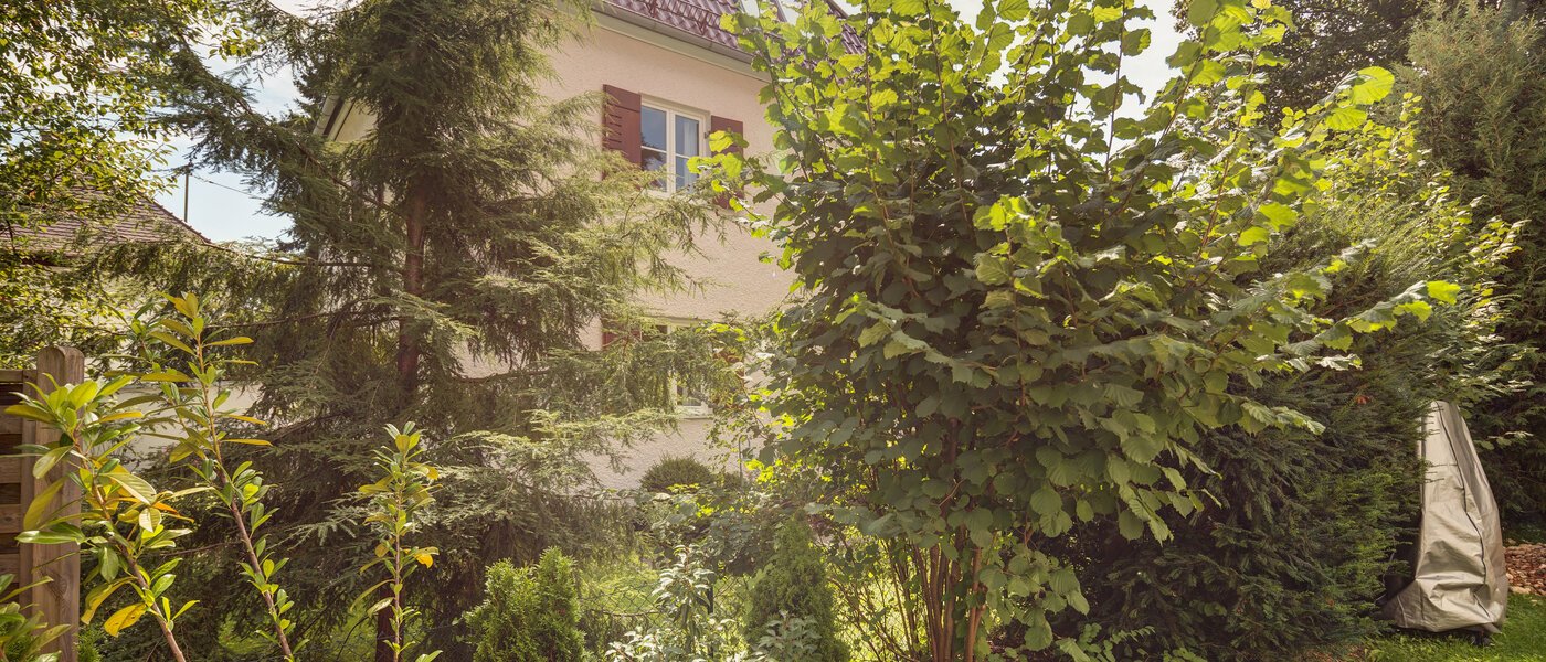 studio Gräfelfing 01 view 8902