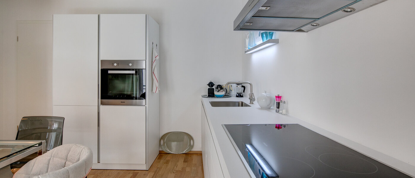 apartment München Maxvorstadt 03 kitchen 8910