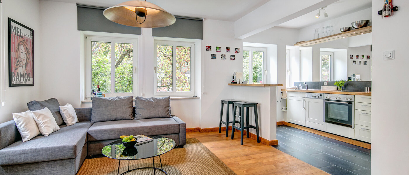 apartment München Schwabing-West 01 living room 8918