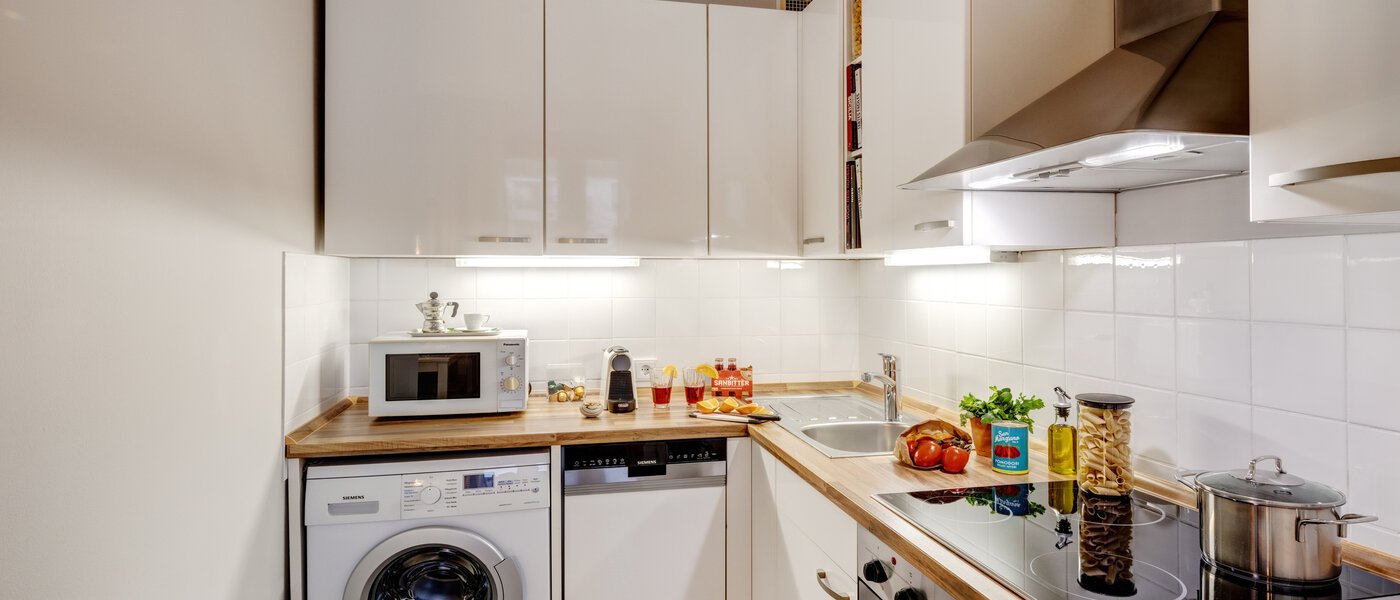 apartment München Lehel 01 kitchen 8947