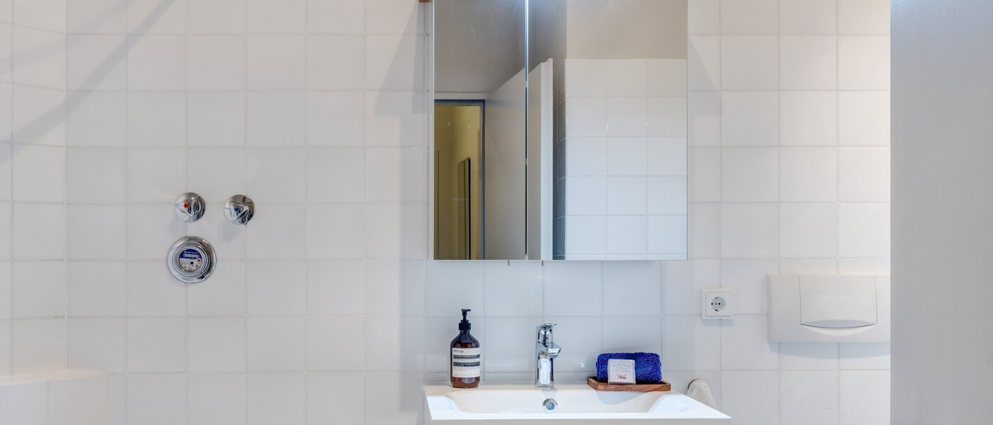apartment München Lehel 01 bathroom 8947
