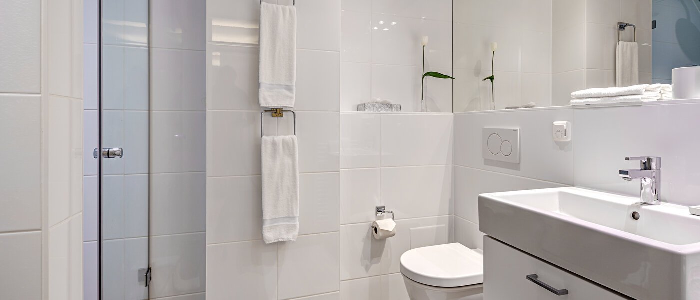 roof terrace apartment München Altstadt 01 bathroom 9009