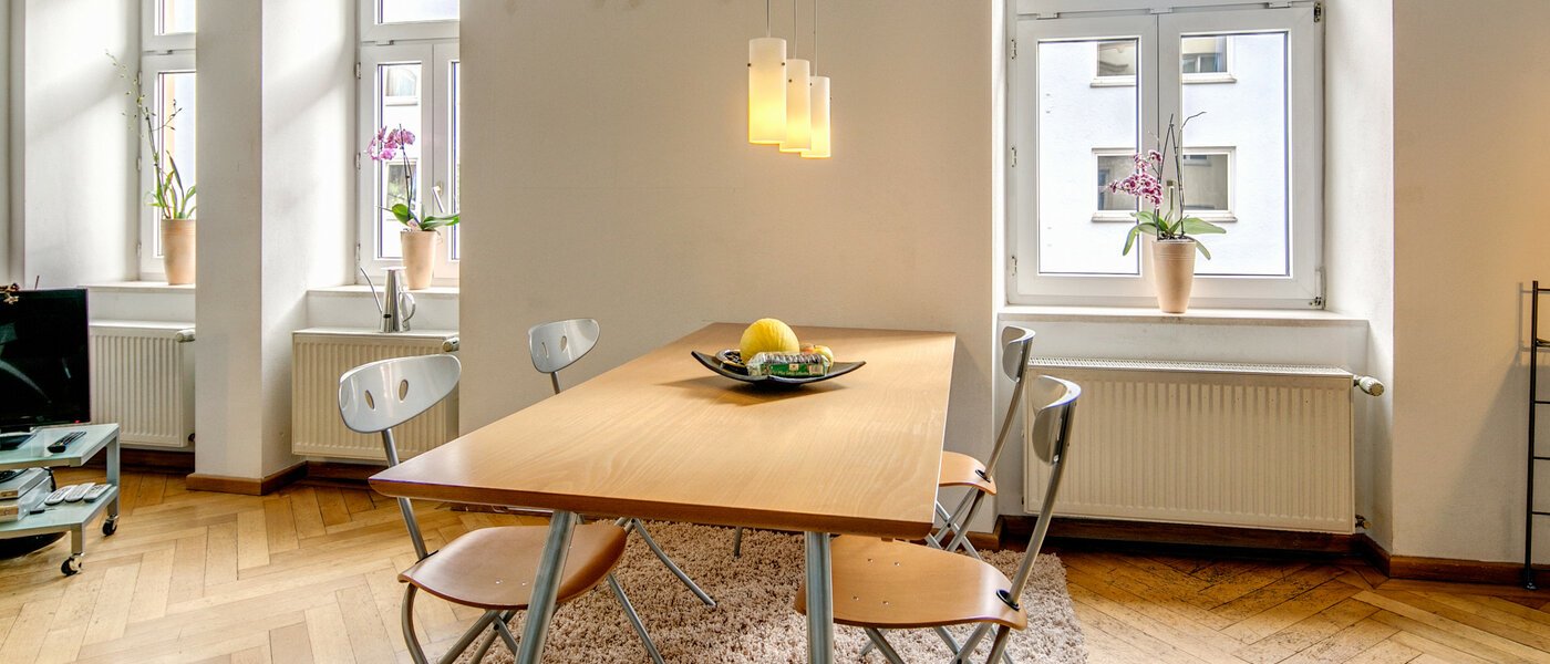 apartment München Giesing 05 living room 9015