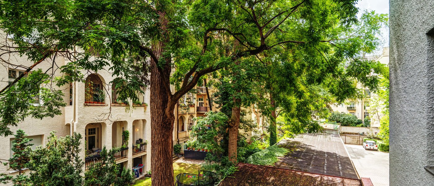 apartment München Schwabing-West (rund um den Hohenzollernplatz) 02 view 9021