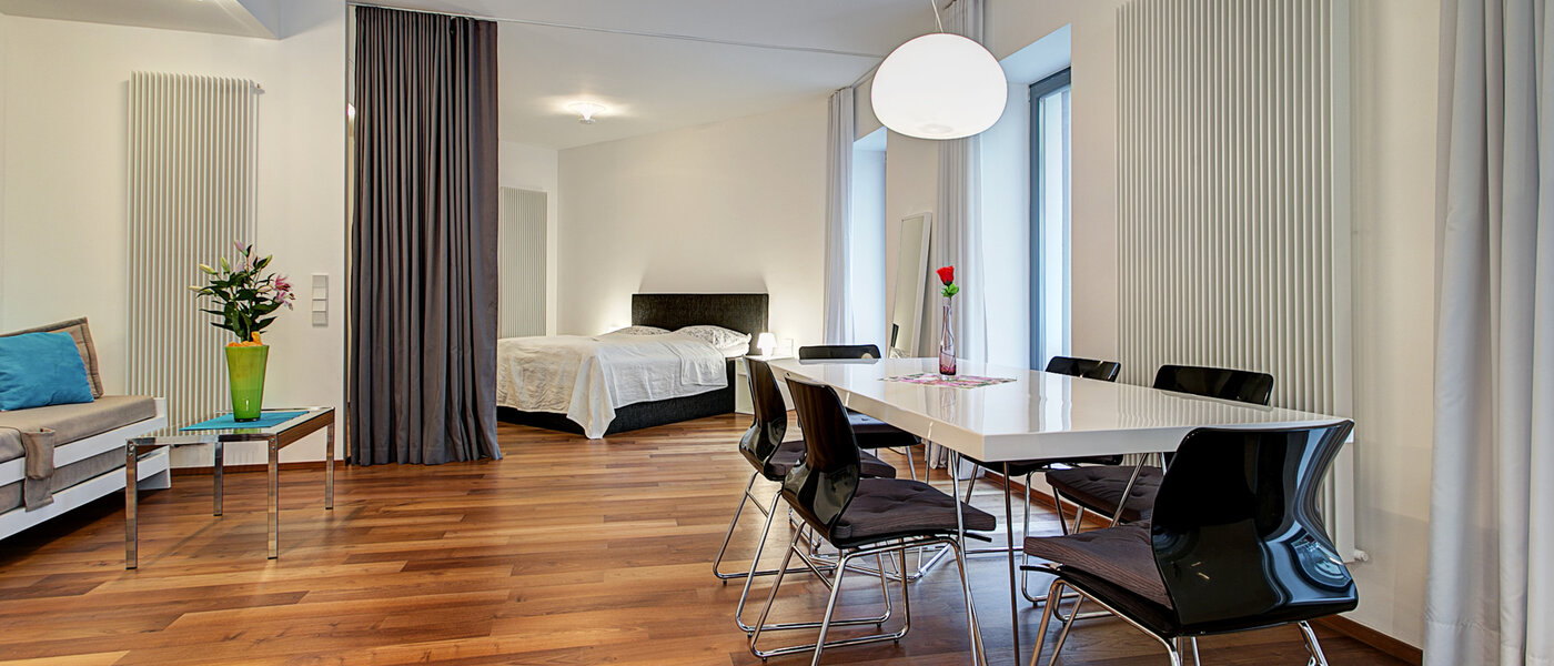 apartment München Sendling 03 living room 9053