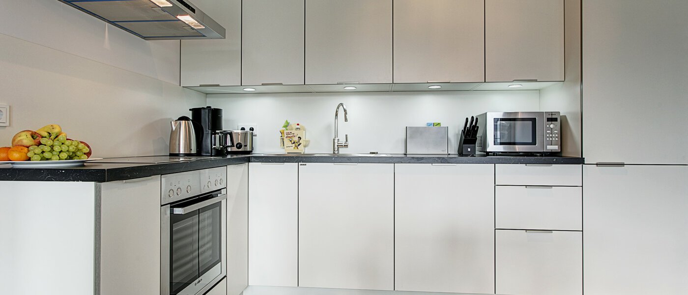 apartment München Neuhausen 01 kitchen 9058