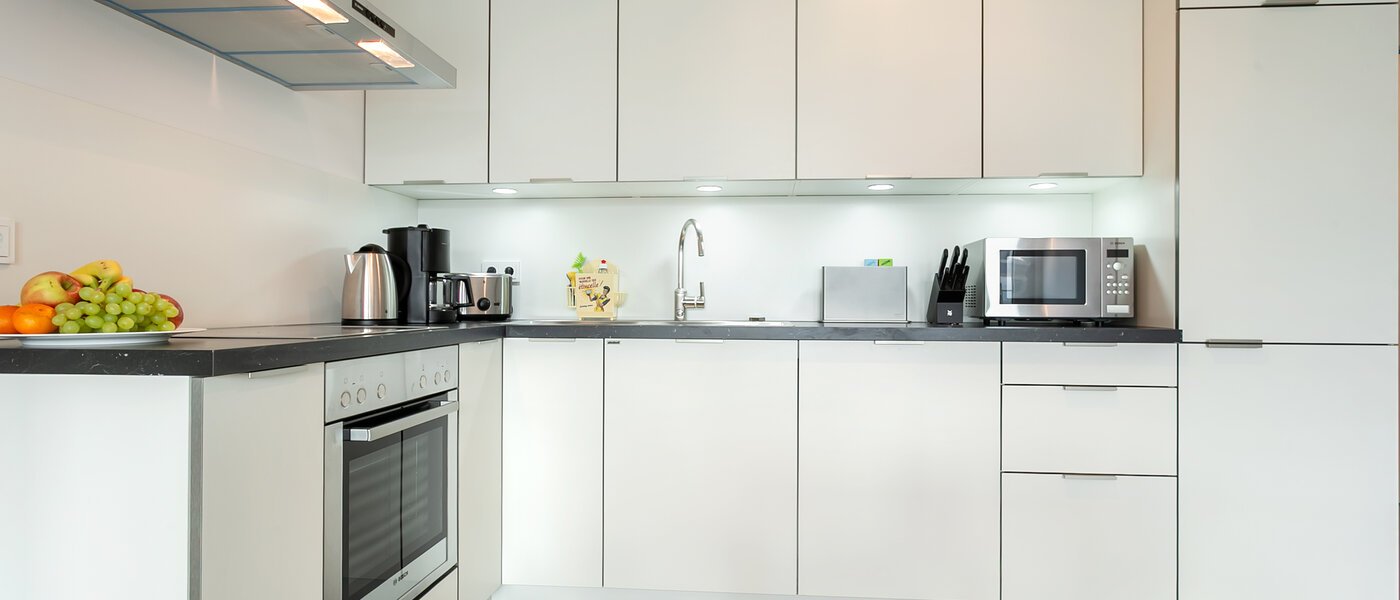 apartment München Neuhausen 02 kitchen 9058