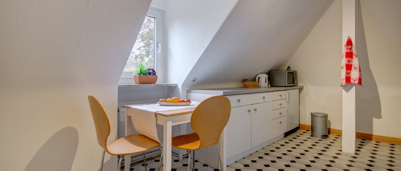 attic apartment Gräfelfing 02 kitchen 9079