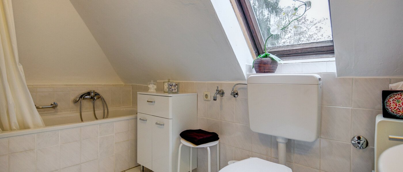 attic apartment Gräfelfing 02 bathroom 9079