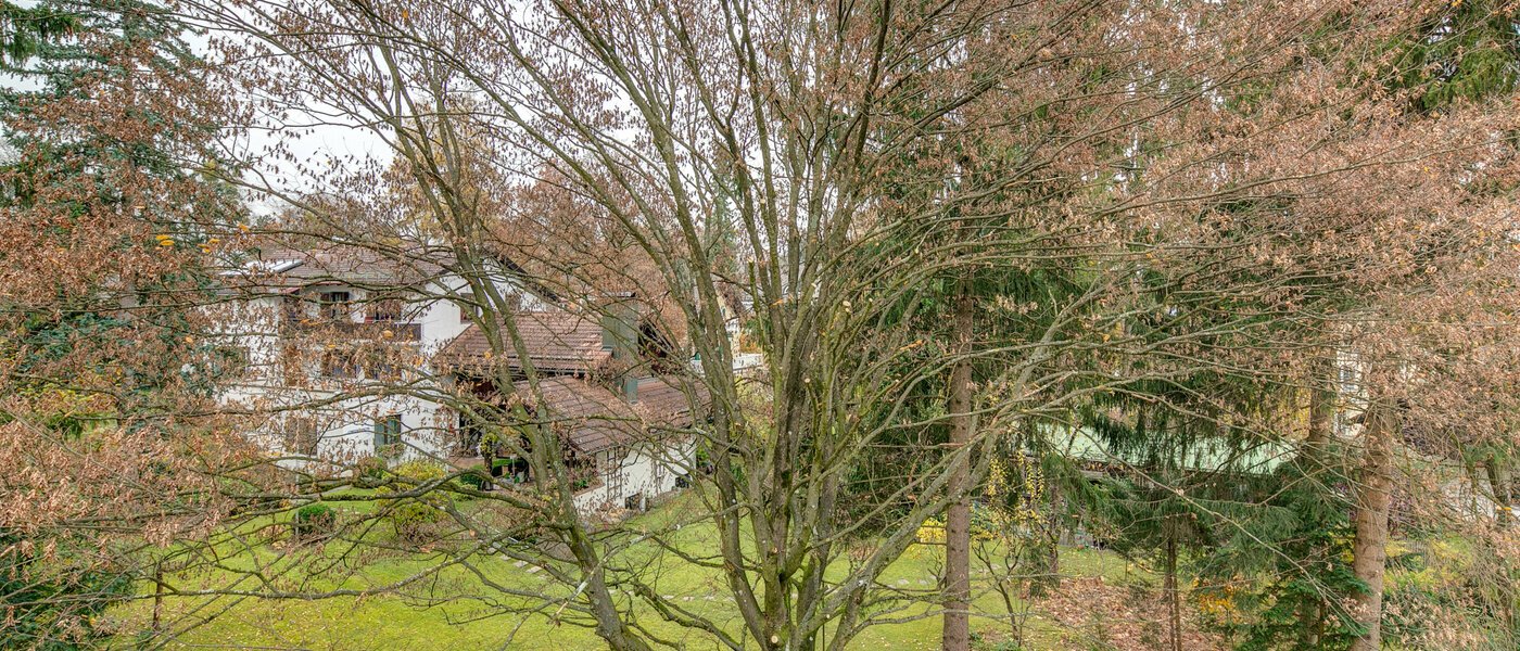 attic apartment Gräfelfing 01 view 9079