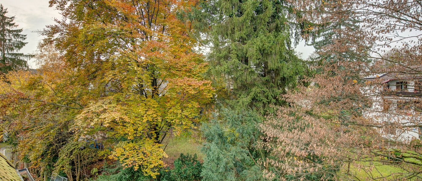 attic apartment Gräfelfing 02 view 9079