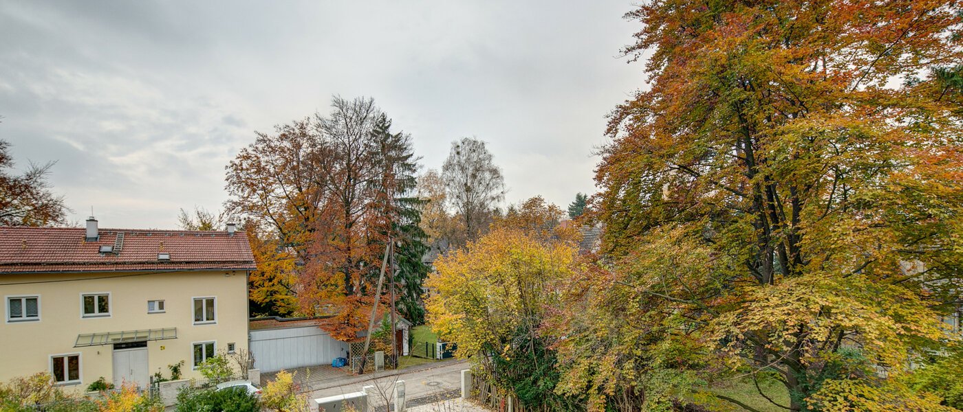 attic apartment Gräfelfing 04 view 9079