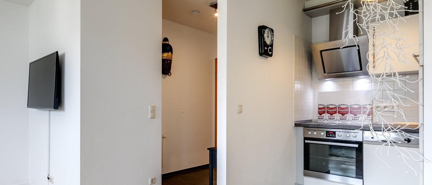 apartment München Schwabing-West (rund um den Hohenzollernplatz) 04 living room 9209