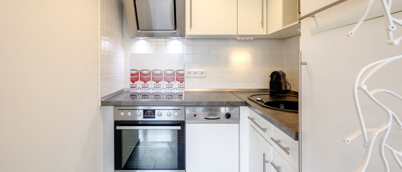 apartment München Schwabing-West (rund um den Hohenzollernplatz) 01 kitchen 9209