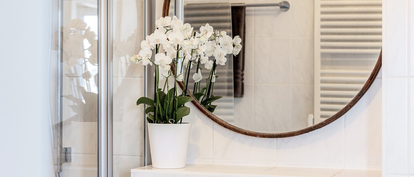 apartment München Schwabing-West (rund um den Hohenzollernplatz) 02 bathroom 9209