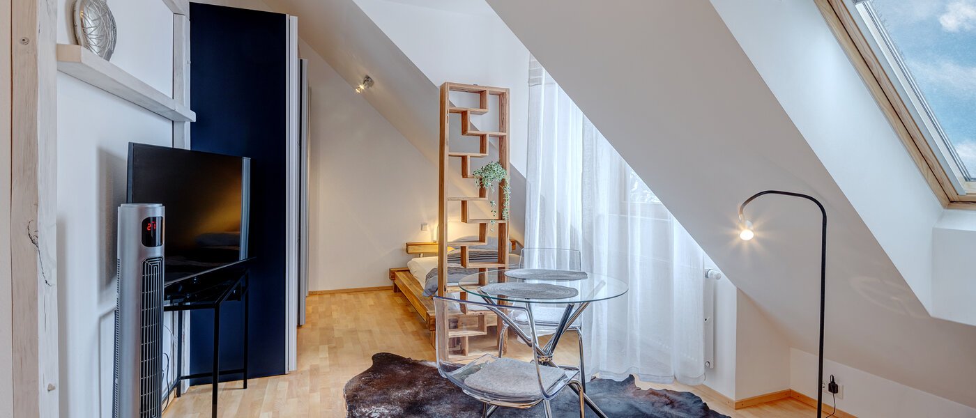 attic apartment München Trudering 04 living area 9309