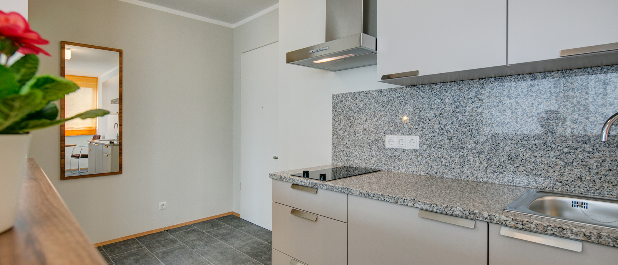 apartment Ismaning 01 kitchen 9326