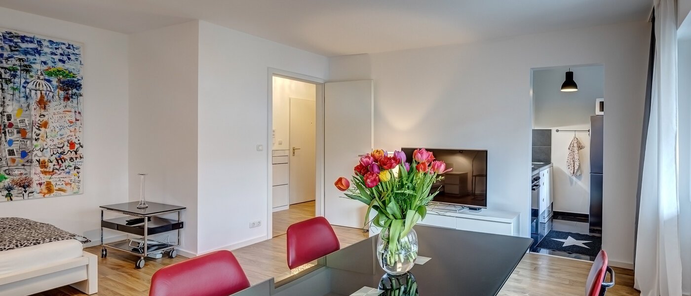 apartment München Moosach 03 living area 9358