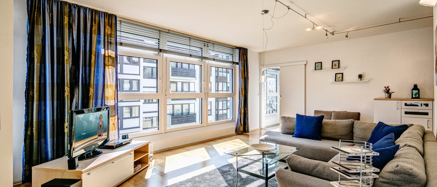 apartment München Maxvorstadt - Universitätsviertel 02 living room 9416