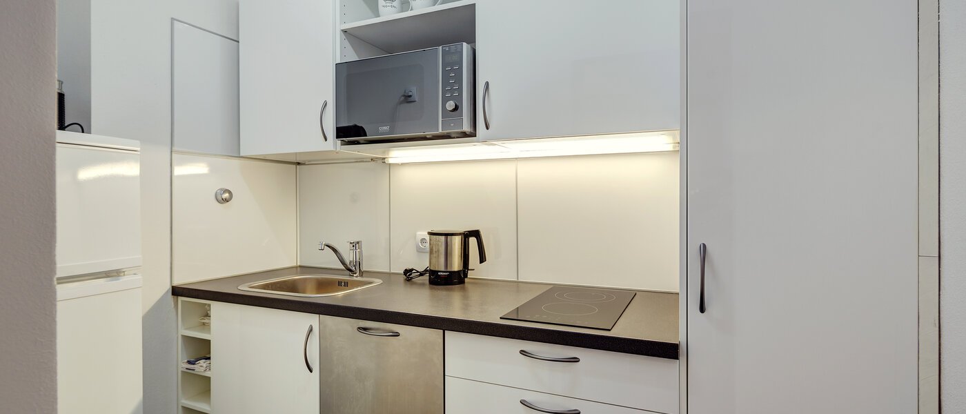 apartment München Schwanthalerhöhe 01 kitchen 9438