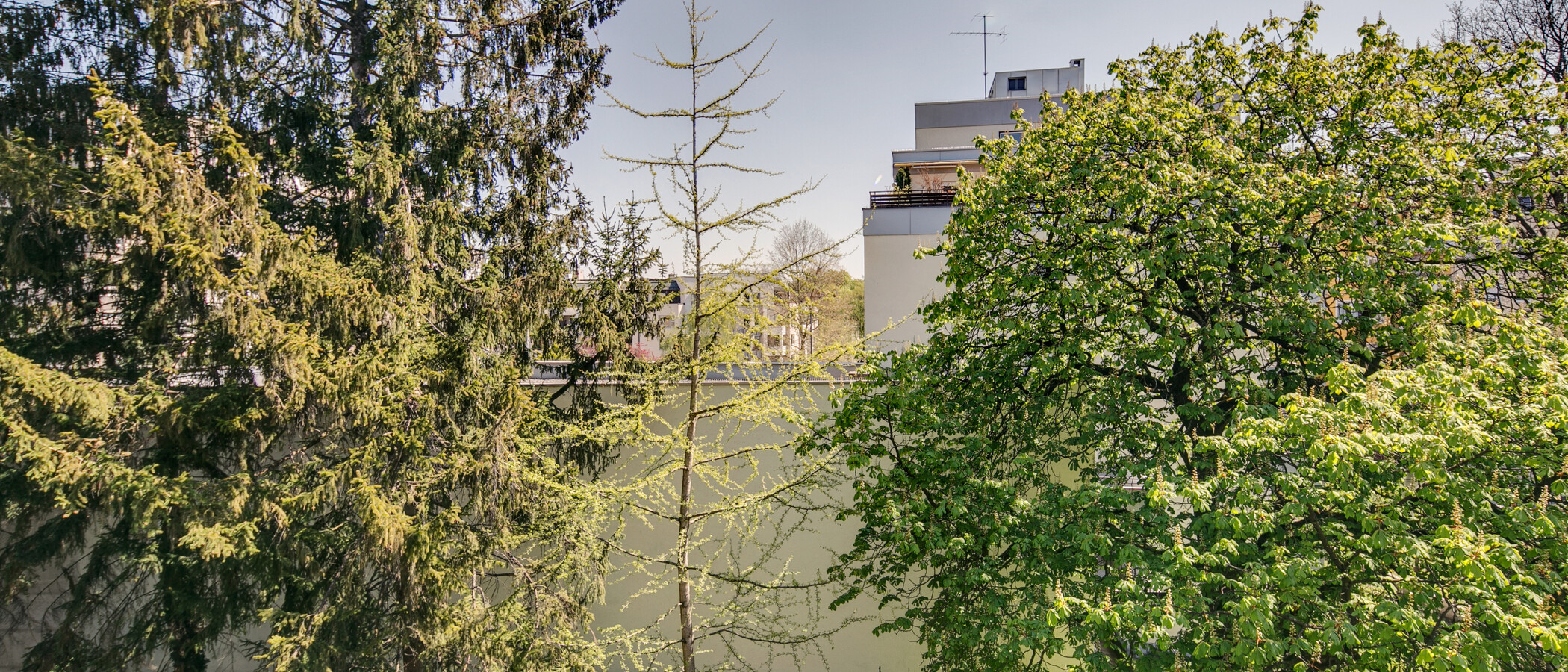 apartment München Schwabing (rechts der Leopoldstraße) 02 view 9457