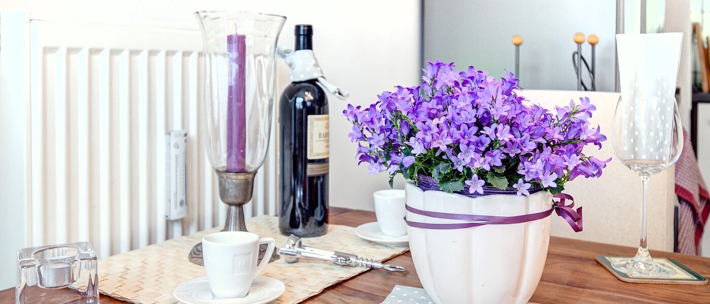 apartment München Giesing 05 living room 9537