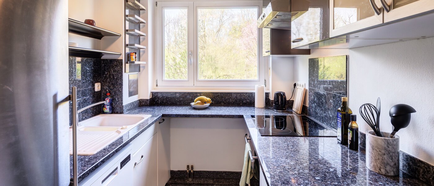 apartment München Oberföhring 01 kitchen 9553