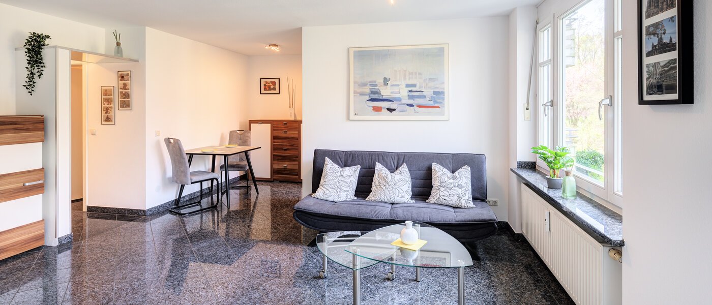 apartment München Oberföhring 01 living area 9553