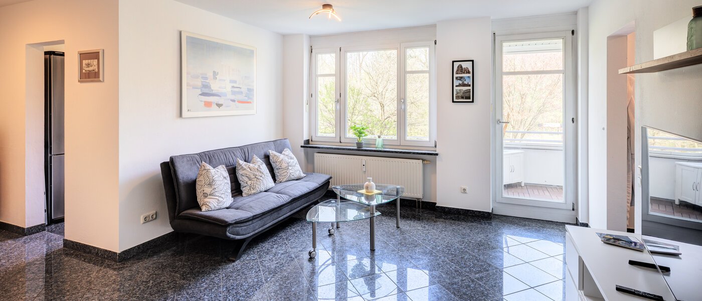 apartment München Oberföhring 03 living area 9553