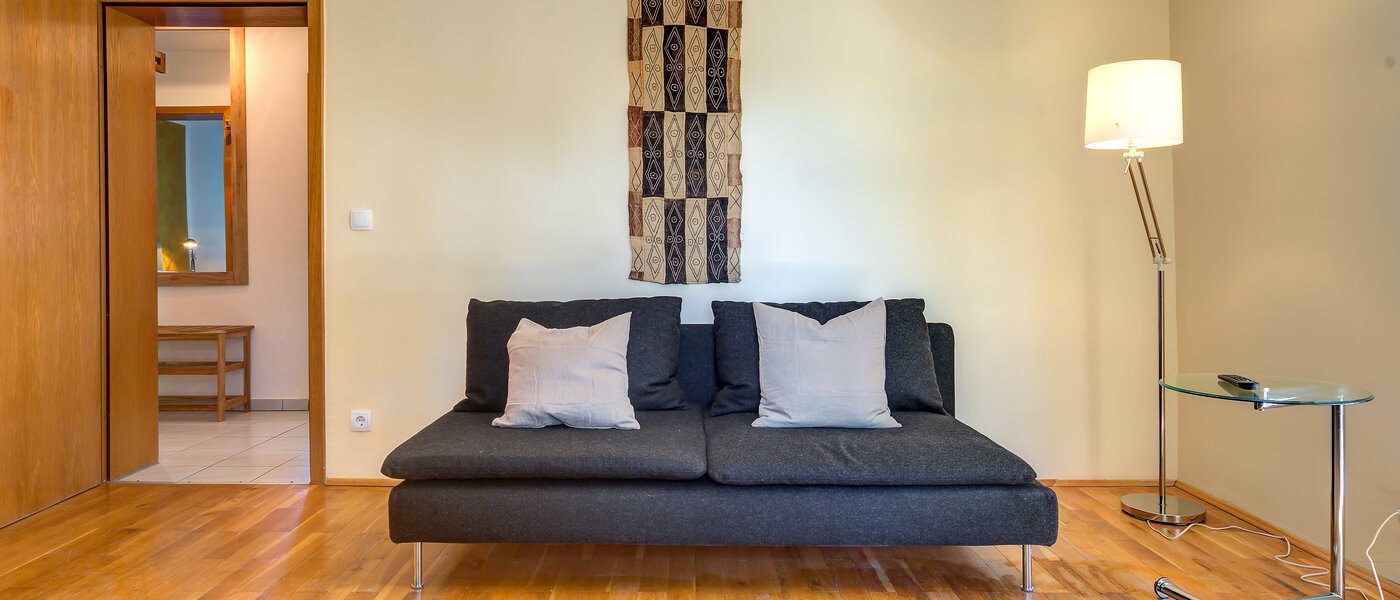 apartment München Waldtrudering 03 living room 9604