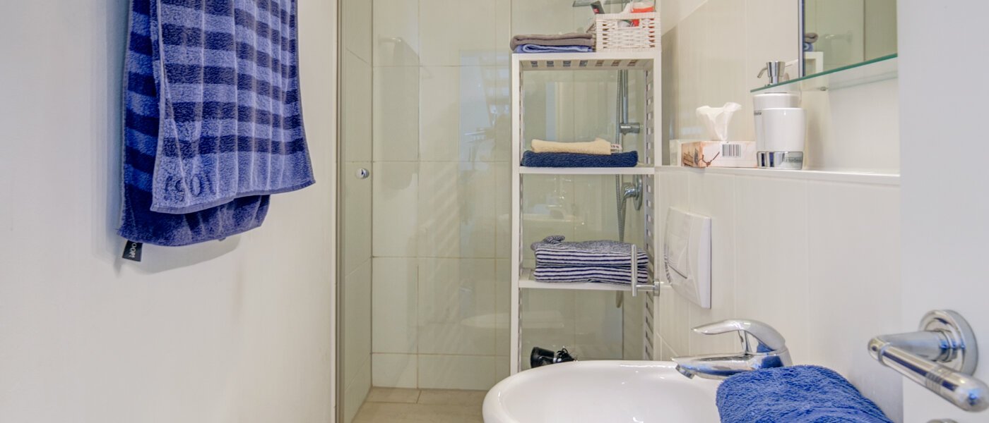 roof terrace apartment München Maxvorstadt - Universitätsviertel 01 2. bathroom 9606