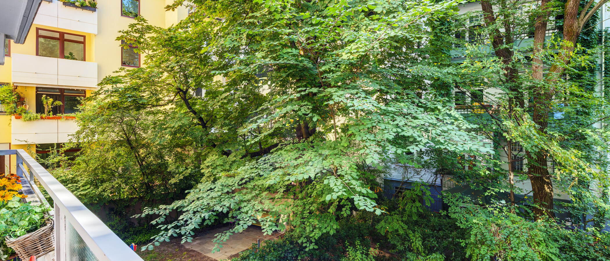 apartment München Lehel 01 view 9663