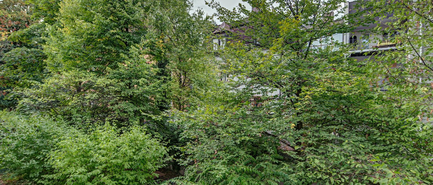 apartment München Haidhausen 01 view 9683