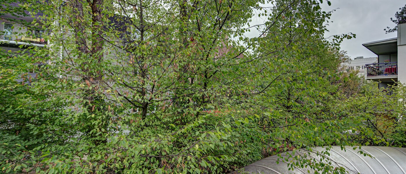 apartment München Haidhausen 02 view 9683