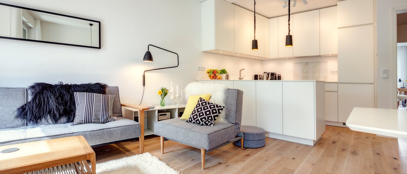 apartment München Isarvorstadt 07 living room 9687