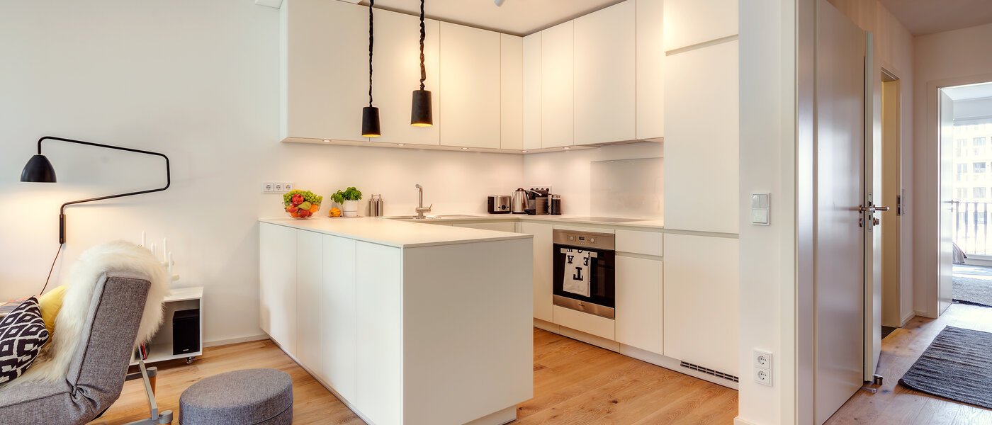 apartment München Isarvorstadt 03 kitchen 9687