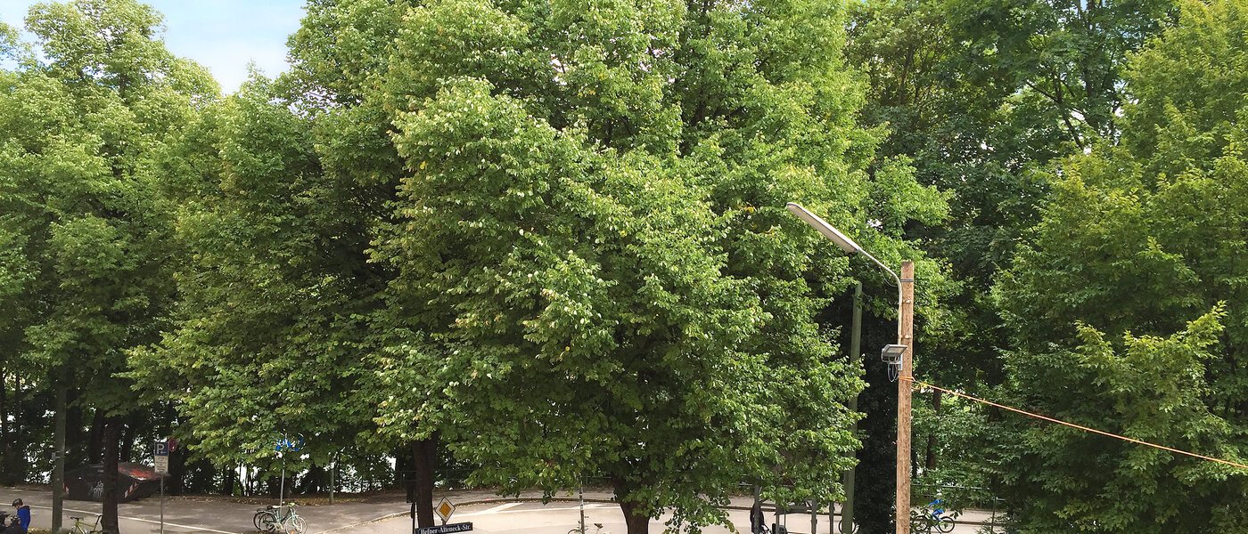 apartment München Isarvorstadt 03 view 9687