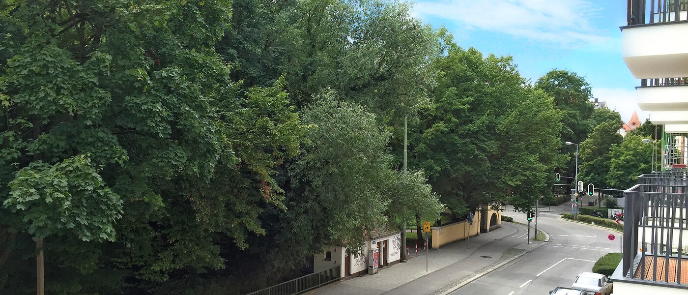 apartment München Isarvorstadt 04 view 9687